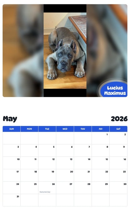 2026 - 2027 Lucius Maximus - Pawidols Pet Calendar