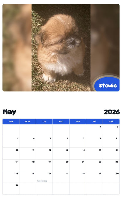 2026 - 2027 Stewie - Pawidols Pet Calendar