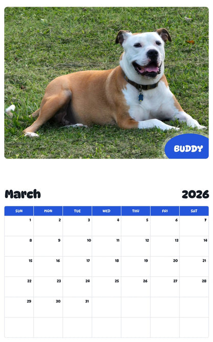 November 2025 - October 2026 BUDDY - Pawidols Pet Calendar
