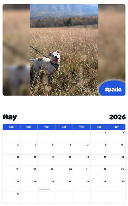 2026 - 2027 Spade - Pawidols Pet Calendar
