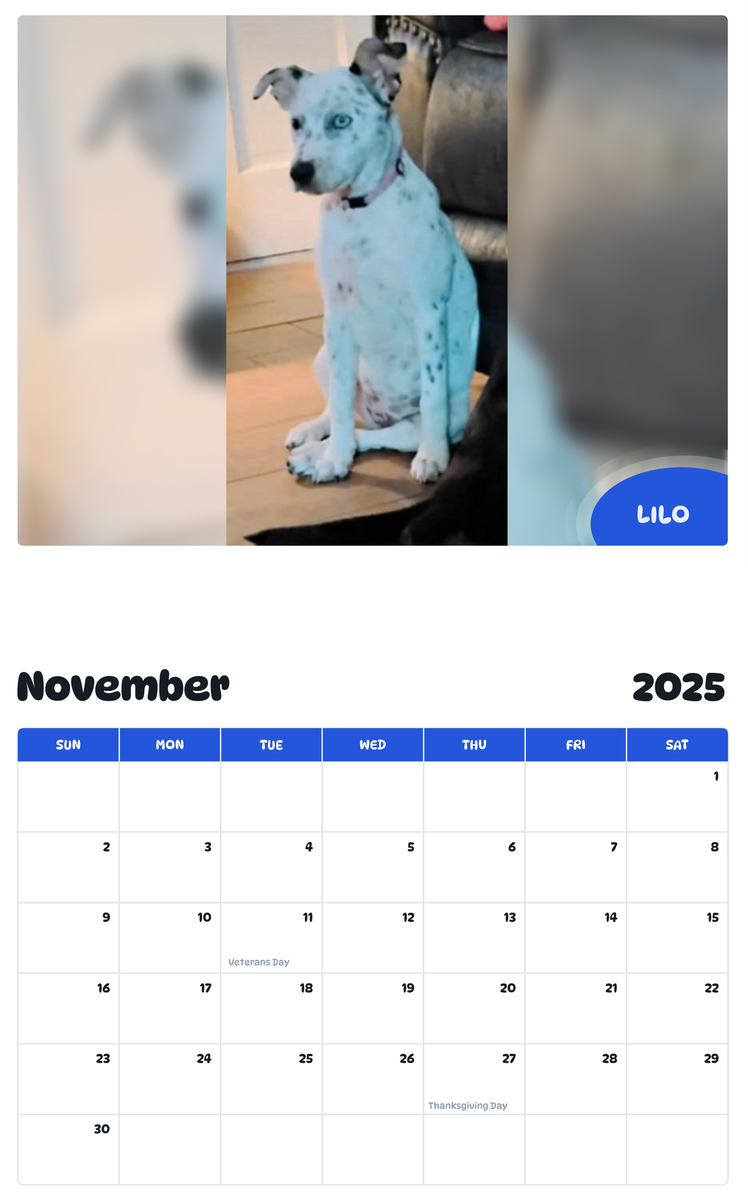 July 2025 - June 2026 Lilo - Pawidols Pet Calendar