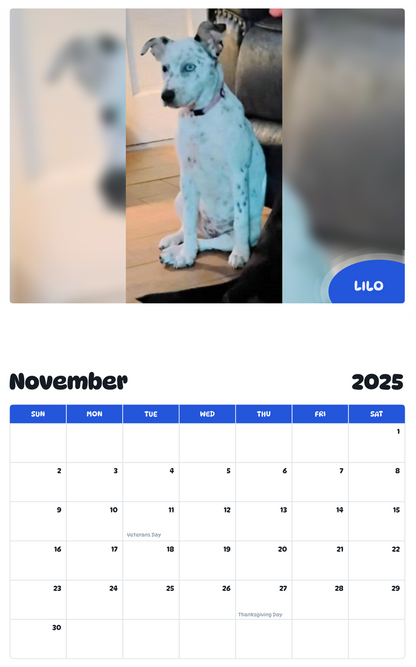July 2025 - June 2026 Lilo - Pawidols Pet Calendar