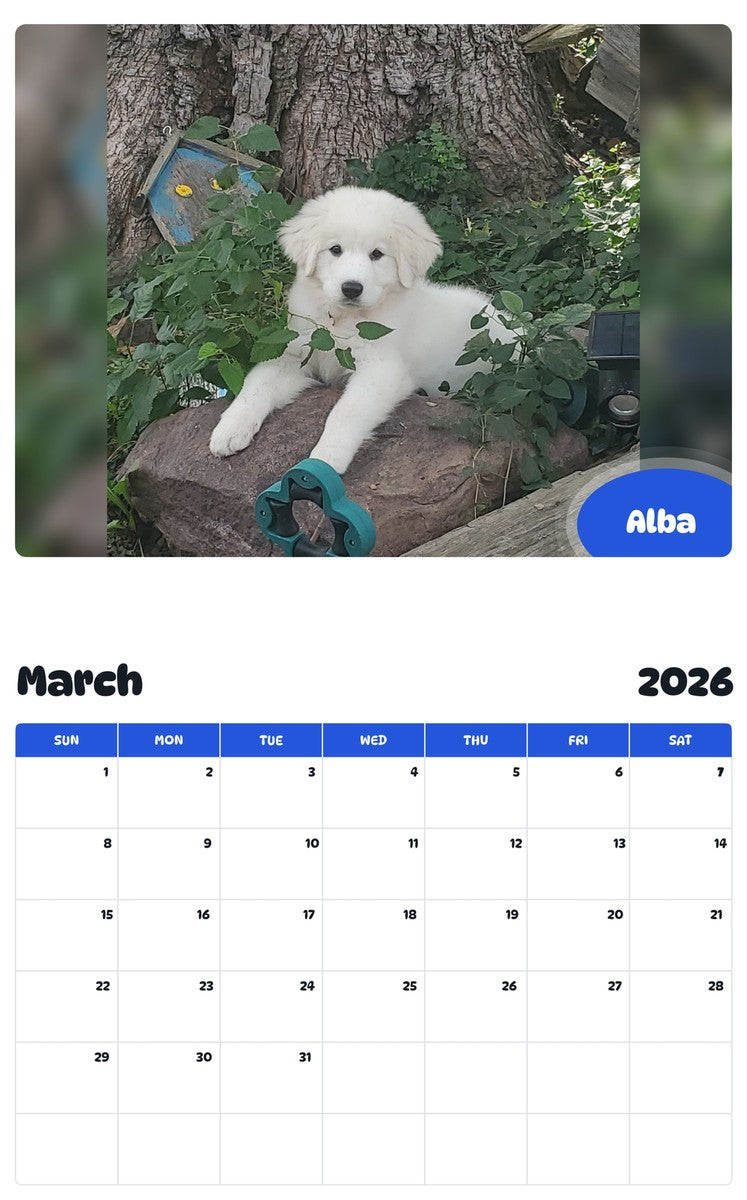 November 2025 - October 2026 Alba - Pawidols Pet Calendar