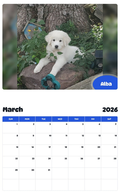 November 2025 - October 2026 Alba - Pawidols Pet Calendar