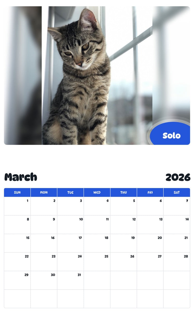 November 2025 - October 2026 Solo - Pawidols Pet Calendar
