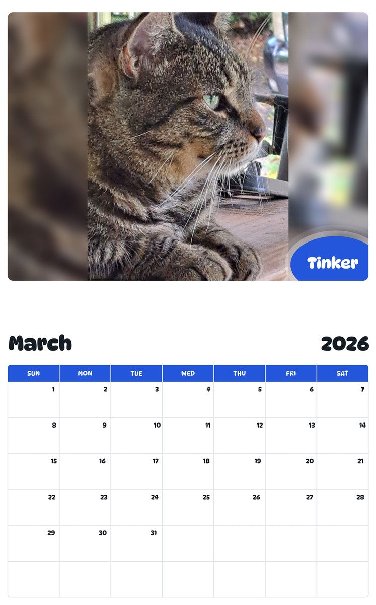 November 2025 - October 2026 Tinker - Pawidols Pet Calendar