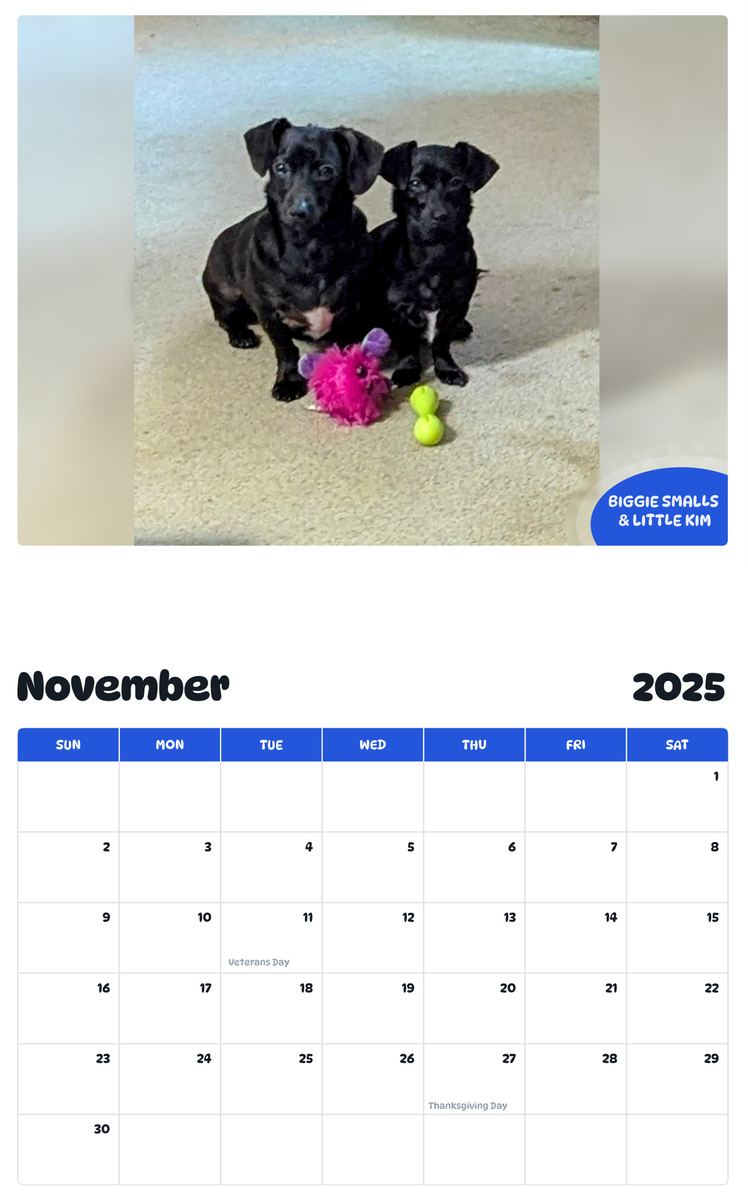 July 2025 - June 2026 Biggie Smalls & Little Kim - Pawidols Pet Calendar