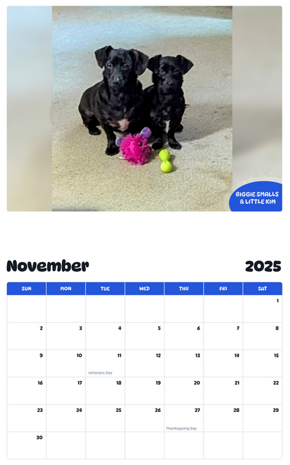July 2025 - June 2026 Biggie Smalls & Little Kim - Pawidols Pet Calendar