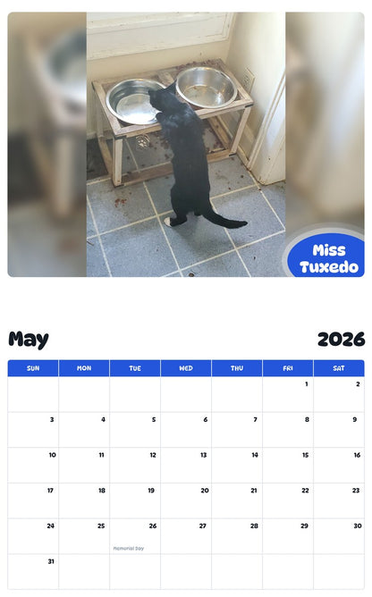 2026 - 2027 Miss Tuxedo - Pawidols Pet Calendar