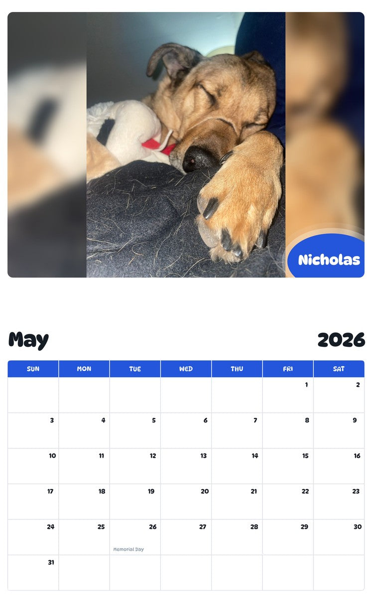2026 - 2027 Nicholas - Pawidols Pet Calendar