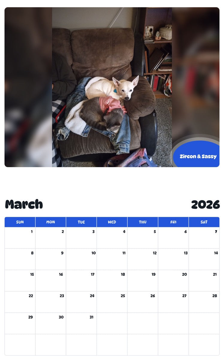 November 2025 - October 2026 Zircon & Sassy - Pawidols Pet Calendar