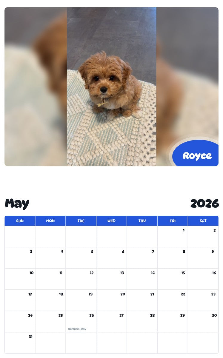 2026 - 2027 Royce - Pawidols Pet Calendar