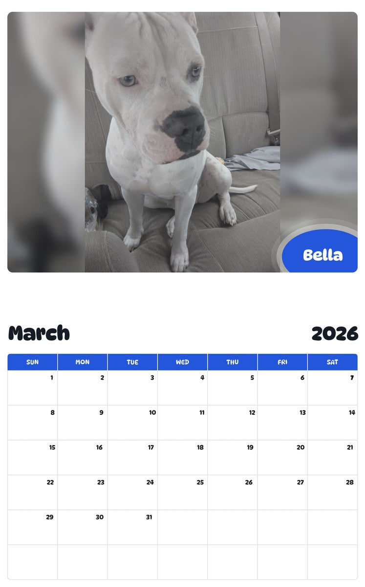 November 2025 - October 2026 Bella - Pawidols Pet Calendar