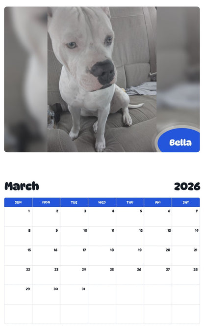 November 2025 - October 2026 Bella - Pawidols Pet Calendar