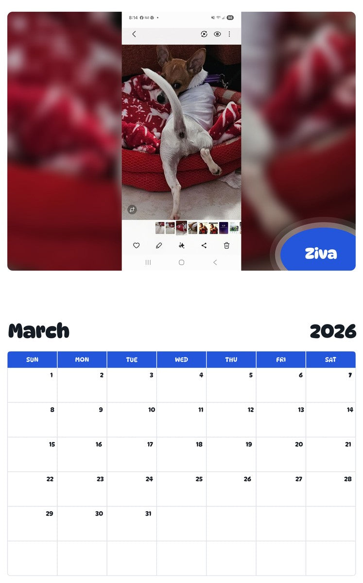 November 2025 - October 2026 Ziva - Pawidols Pet Calendar