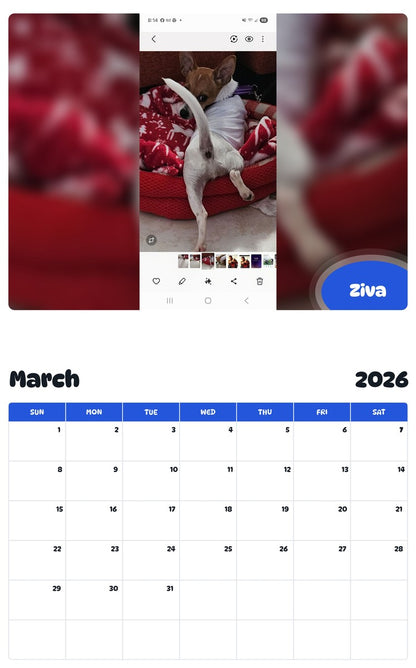 November 2025 - October 2026 Ziva - Pawidols Pet Calendar