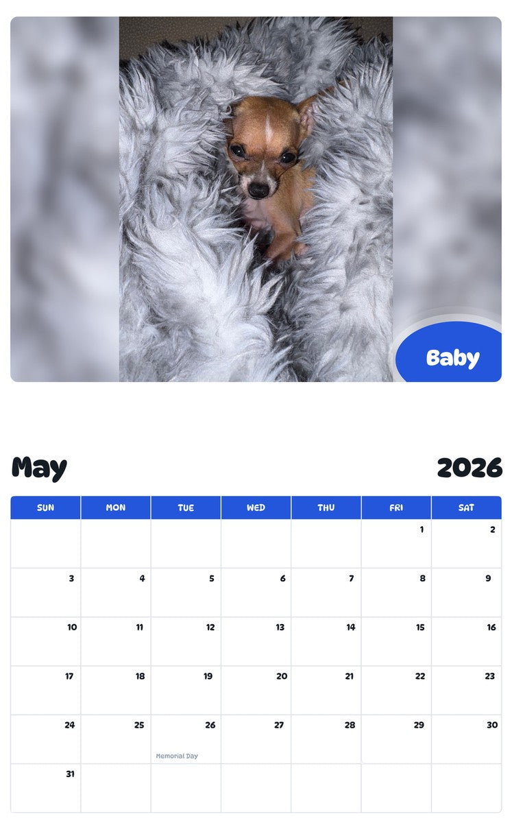 2026 - 2027 Baby - Pawidols Pet Calendar