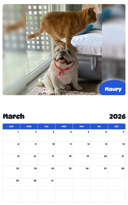 November 2025 - October 2026 Maury - Pawidols Pet Calendar