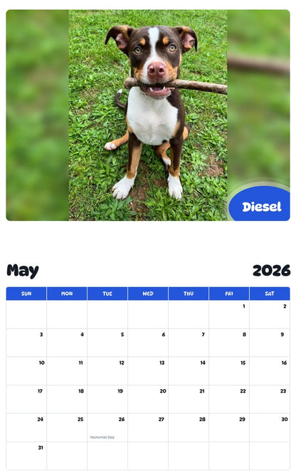 2026 - 2027 Diesel - Pawidols Pet Calendar