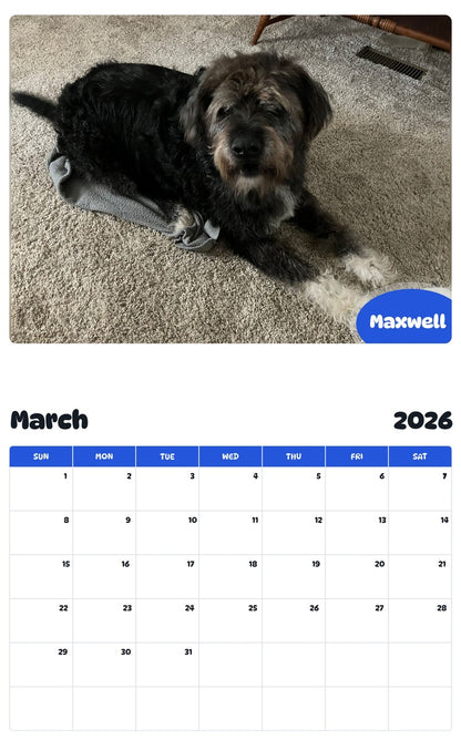 November 2025 - October 2026 Maxwell - Pawidols Pet Calendar
