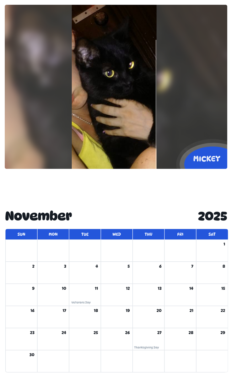 July 2025 - June 2026 Mickey - Pawidols Pet Calendar