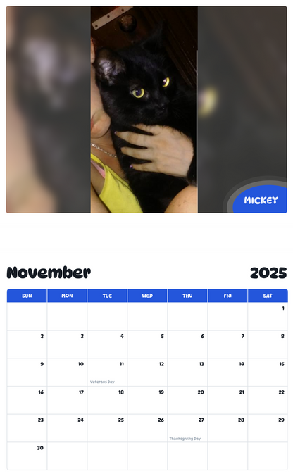 July 2025 - June 2026 Mickey - Pawidols Pet Calendar