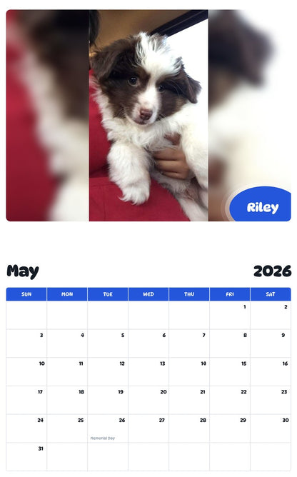 2026 - 2027 Riley - Pawidols Pet Calendar