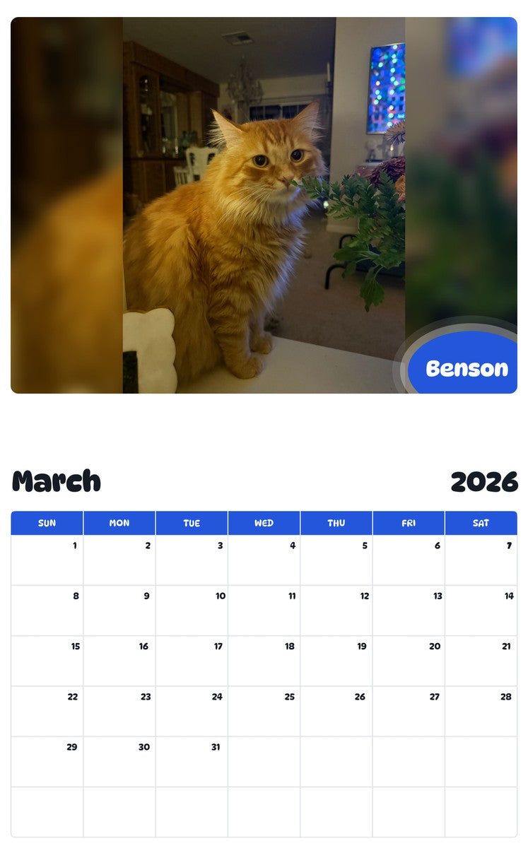 November 2025 - October 2026 Benson - Pawidols Pet Calendar
