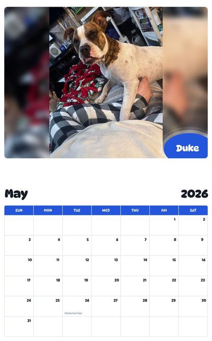 2026 - 2027 Duke - Pawidols Pet Calendar