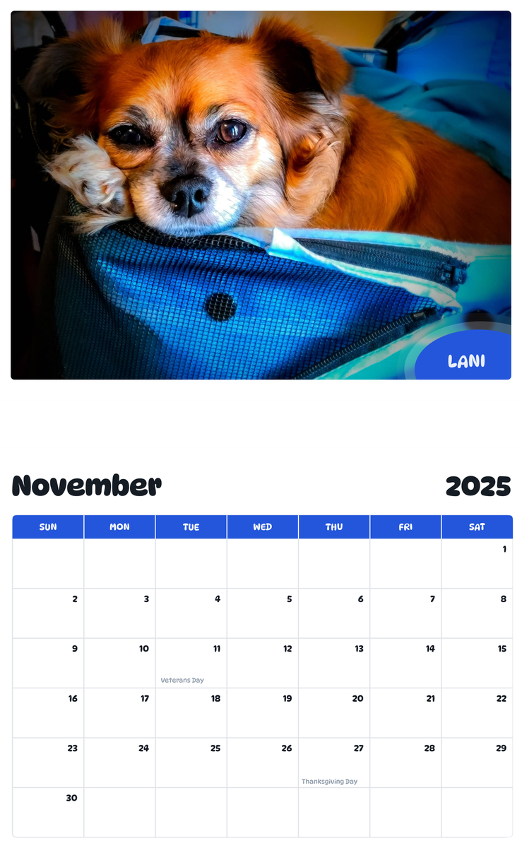July 2025 - June 2026 Lani - Pawidols Pet Calendar