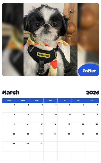 November 2025 - October 2026 Taffer - Pawidols Pet Calendar