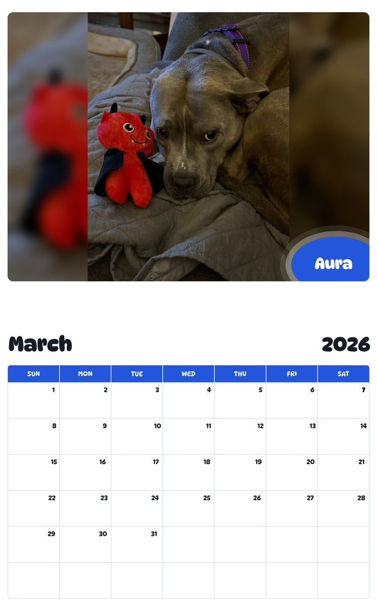 November 2025 - October 2026 Aura - Pawidols Pet Calendar