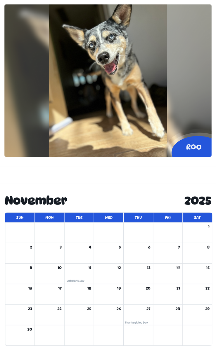 July 2025 - June 2026 Roo - Pawidols Pet Calendar