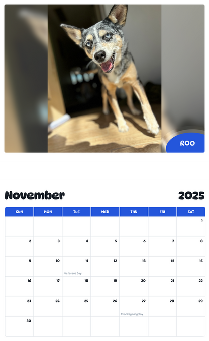 July 2025 - June 2026 Roo - Pawidols Pet Calendar