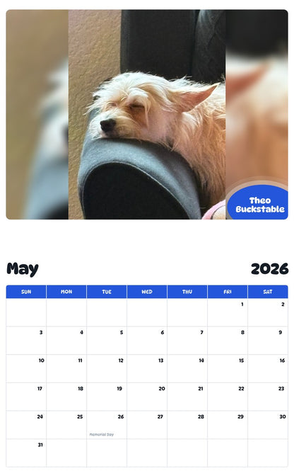 2026 - 2027 Theo Buckstable - Pawidols Pet Calendar