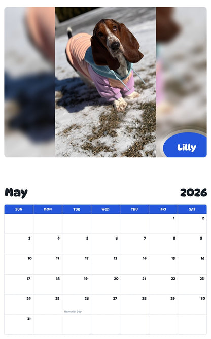 2026 - 2027 Lilly - Pawidols Pet Calendar