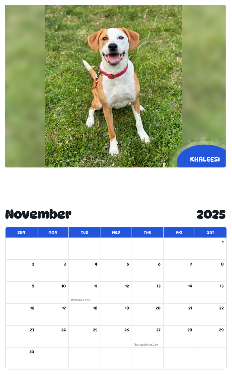 July 2025 - June 2026 Khaleesi - Pawidols Pet Calendar