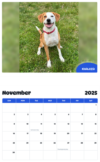 July 2025 - June 2026 Khaleesi - Pawidols Pet Calendar
