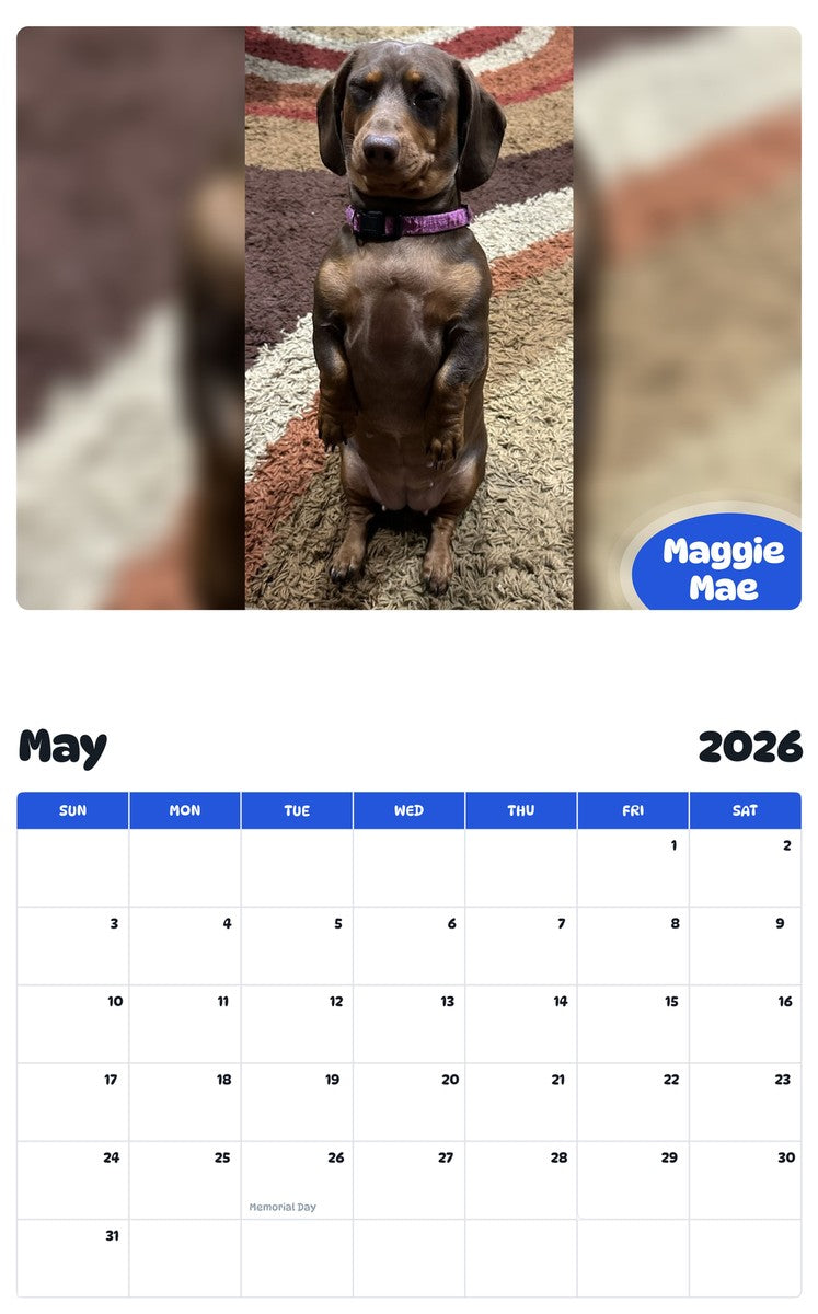 2026 - 2027 Maggie Mae - Pawidols Pet Calendar