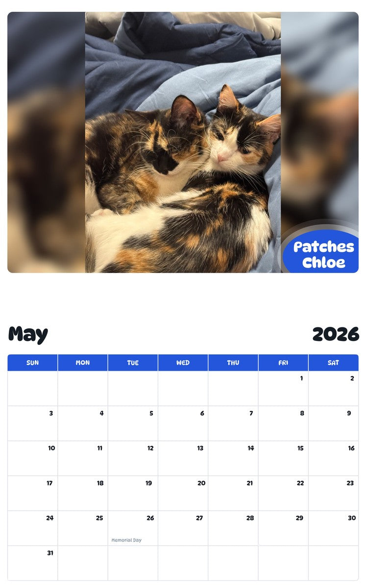 2026 - 2027 Patches Chloe - Pawidols Pet Calendar