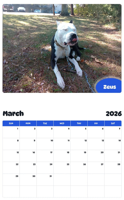 November 2025 - October 2026 Zeus - Pawidols Pet Calendar