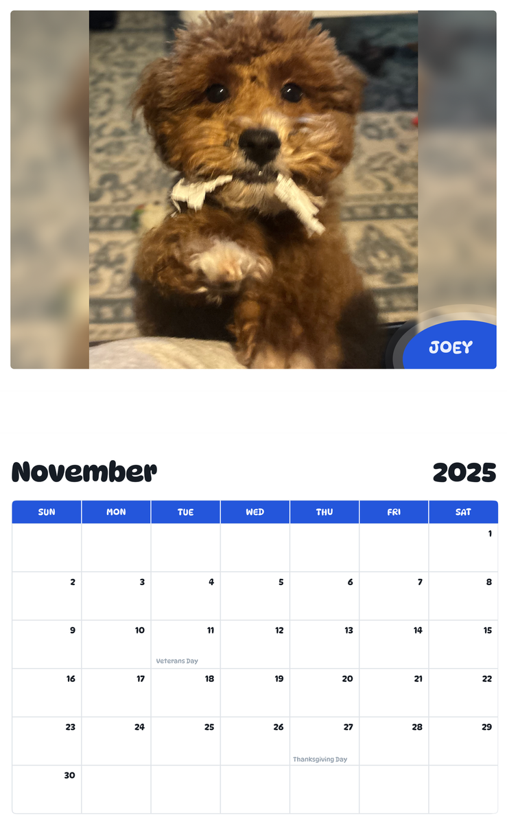 July 2025 - June 2026 Joey - Pawidols Pet Calendar