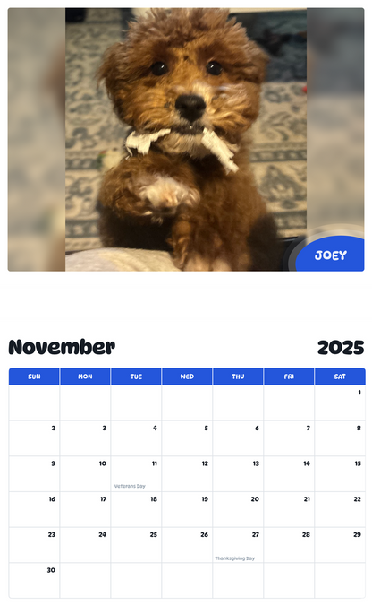 July 2025 - June 2026 Joey - Pawidols Pet Calendar
