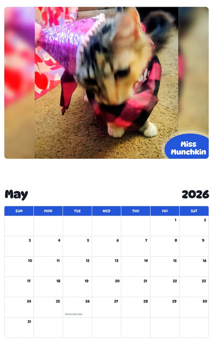 2026 - 2027 Miss Munchkin - Pawidols Pet Calendar