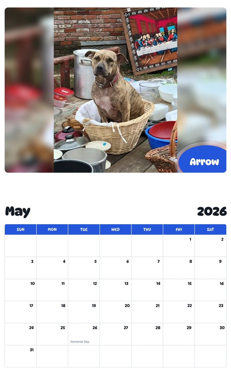 2026 - 2027 Arrow - Pawidols Pet Calendar