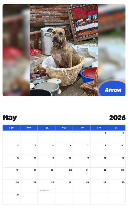 2026 - 2027 Arrow - Pawidols Pet Calendar