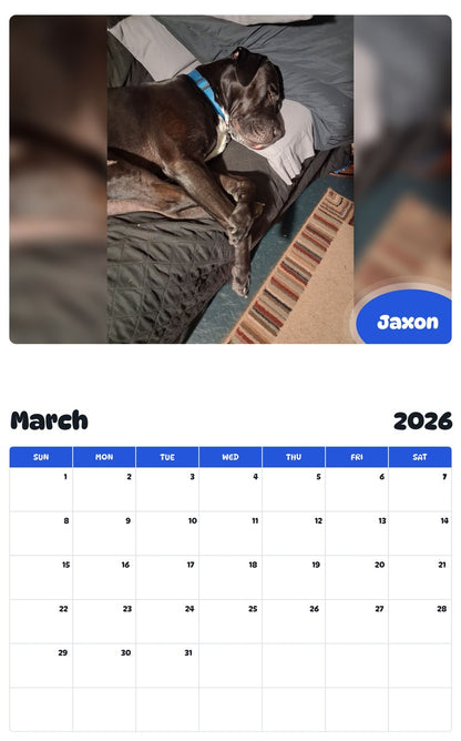 November 2025 - October 2026 Jaxon - Pawidols Pet Calendar