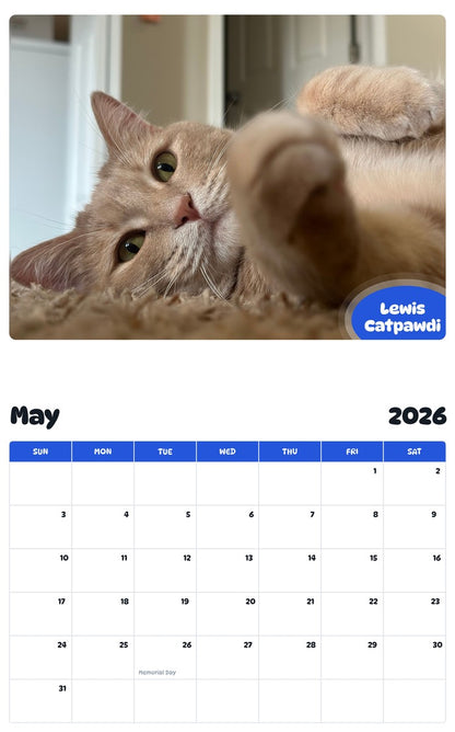 2026 - 2027 Lewis Catpawdi - Pawidols Pet Calendar