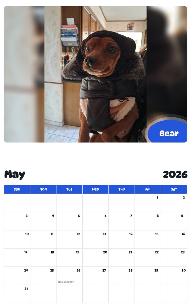 2026 - 2027 Bear - Pawidols Pet Calendar
