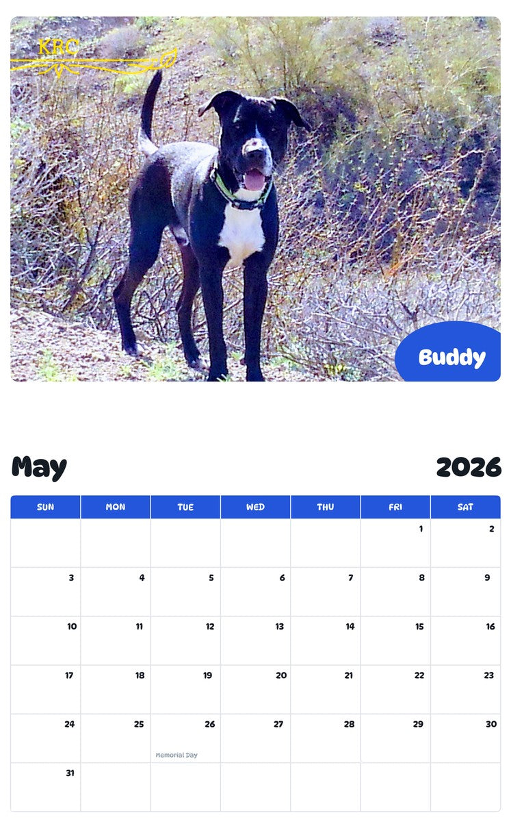 2026 - 2027 Buddy - Pawidols Pet Calendar